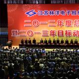 奮斗2013年，為開啟林洋事業(yè)新的征程而努力奮斗